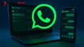 WhatsApp'taki Yeşil, Mavi ve Kırmızı Renkler Ne İfade Ediyor? İşte Resmi Gerçek