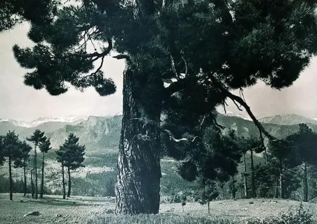 Atatürk'ün Türkiye'yi Dünyaya Tanıtmak İçin Özel Olarak Poz Verdiği Fotoğraflar Ortaya Çıktı! 9