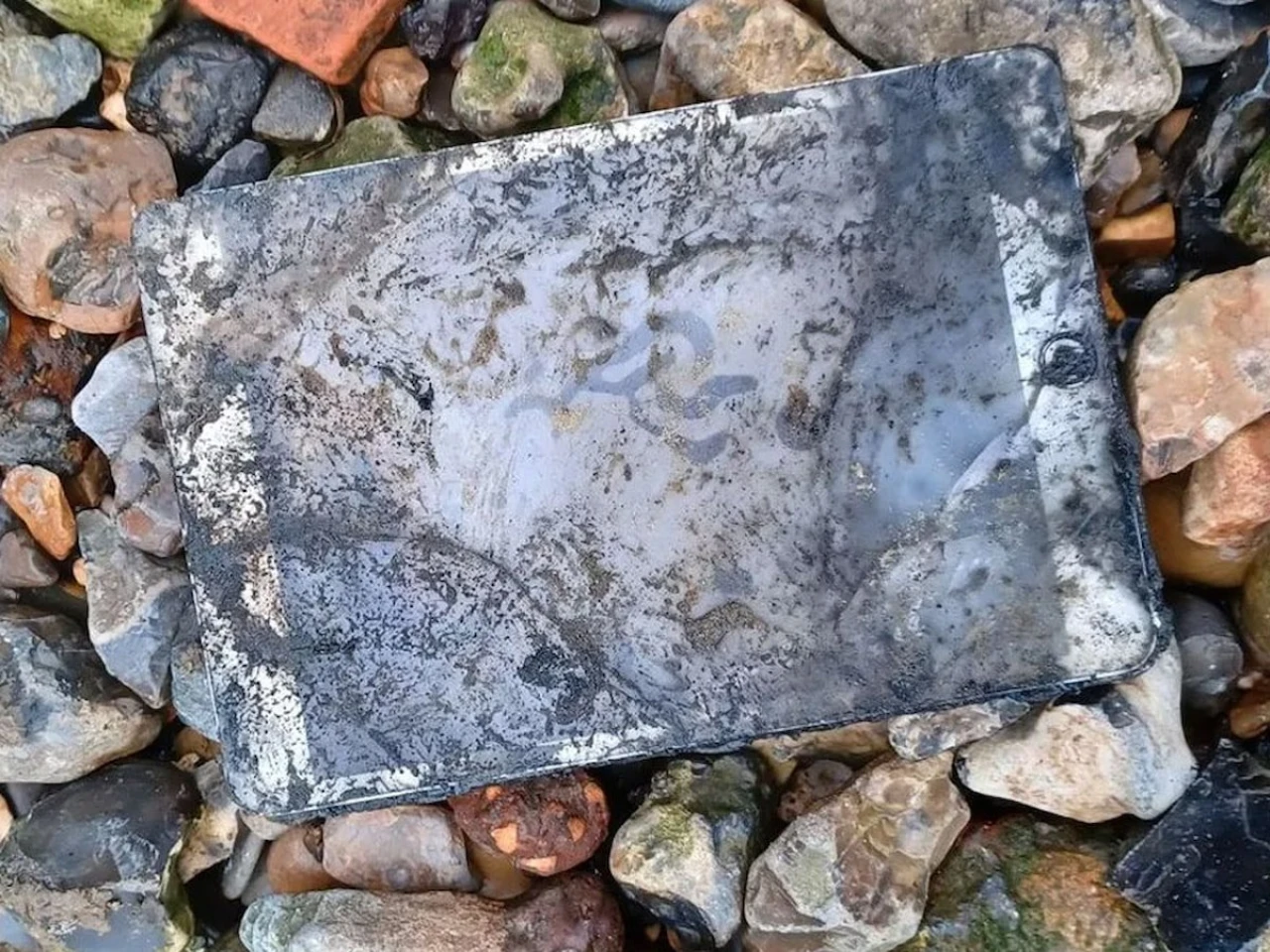 Beş yıl boyunca nehirde hareketsiz durup tarihi suikasti ortaya çıkardı