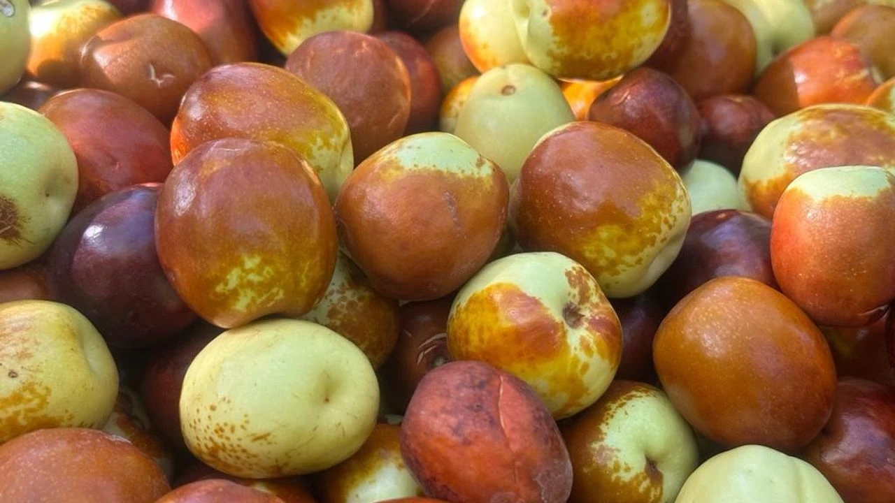 Hünnap Meyvesi Nedir! Sağlık Faydaları ve Özellikleri