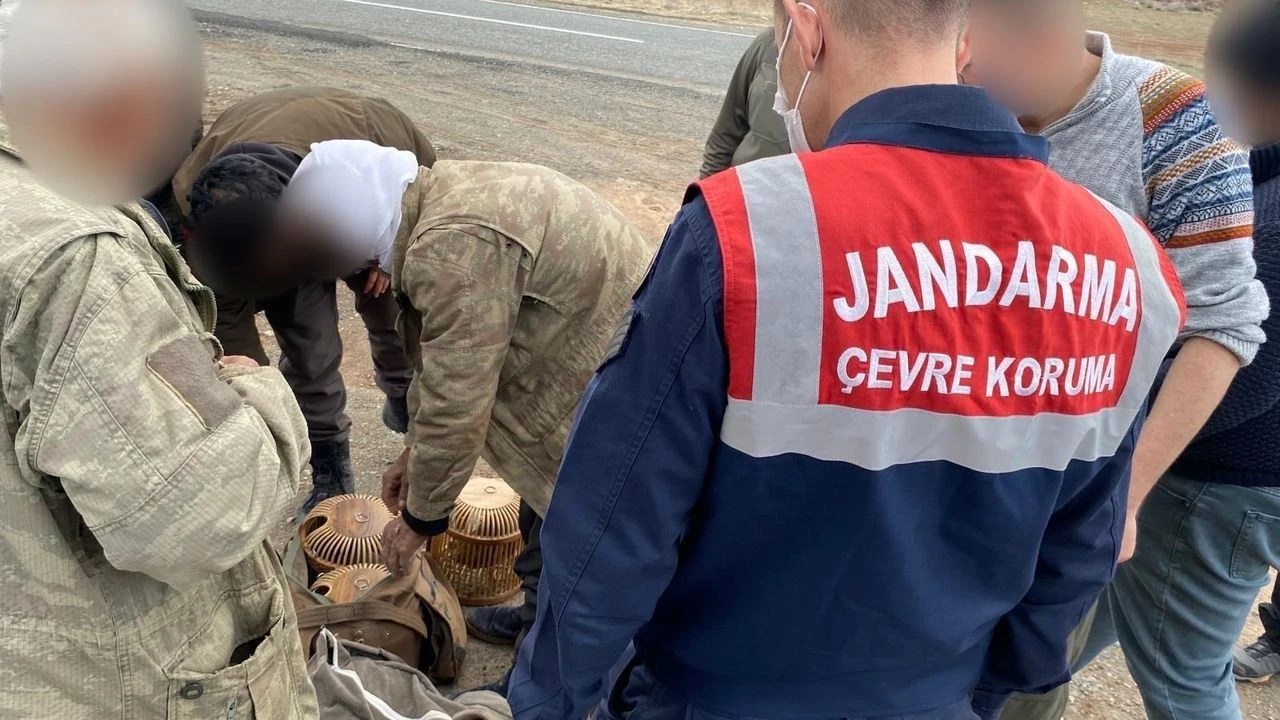 Kars Jandarma Komutanlığı, Kağızman'da kaçak avcıları yakaladı