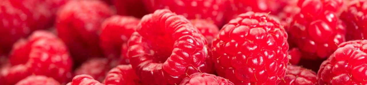 Ahududu (Frambuaz) Faydaları ve Besin Değeri Hakkında Detaylı Bilgi!