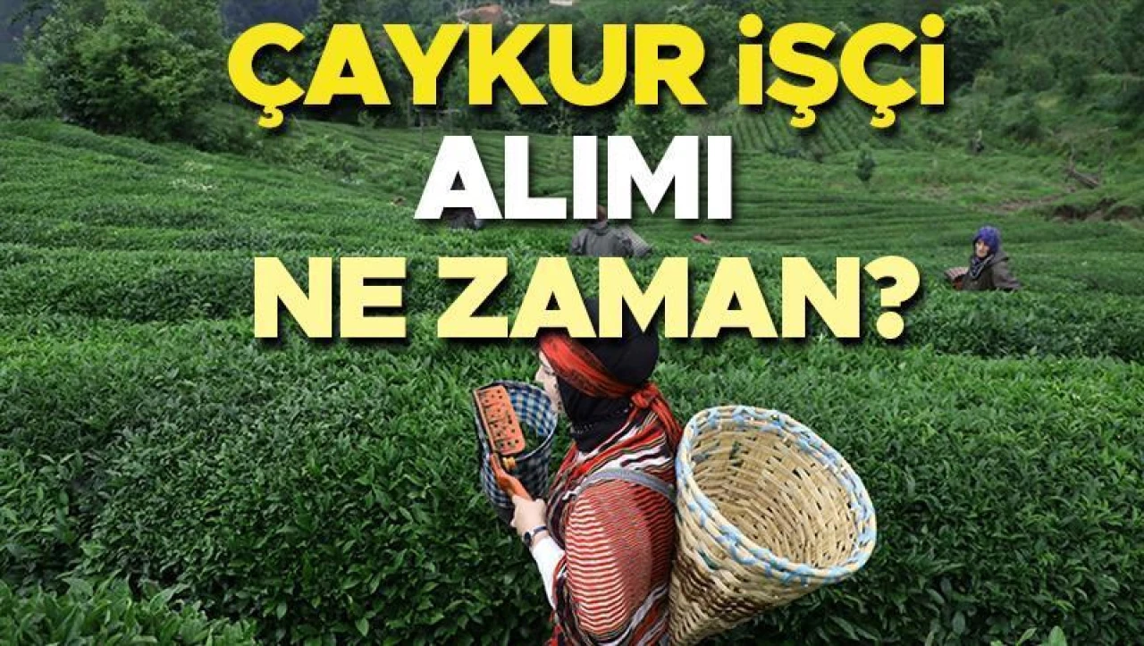 ÇAYKUR'un 2025 İşçi Alımı Sürecinde Son Durum! Başvurular Başladı mı, Kura Tarihi Belli Oldu mu? 1500 Mevsimlik İşçi Alımı Yapılacak mı? Gözler ÇAYKUR Genel Müdürlüğü Duyurusunda!