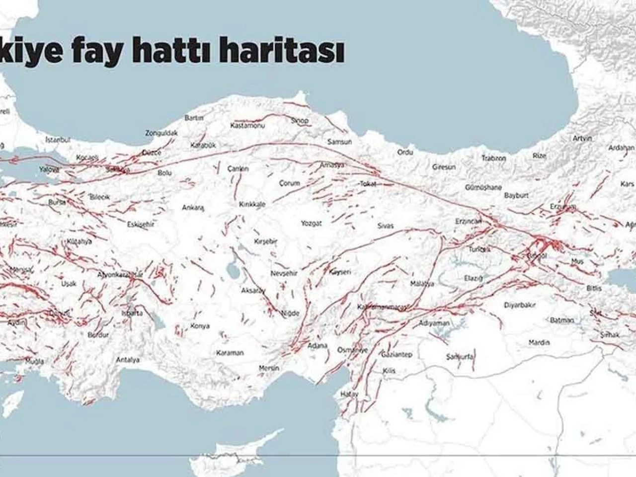 Evimin Altından Fay Hattı Geçiyor mu? E-Devlet Üzerinden Sorgulayabilirsiniz!