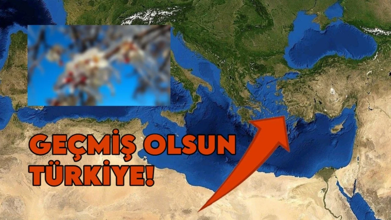 Türkiye'nin Doğal Afet Faturası: İzmir, Sakarya, Adana, Ordu, Kahramanmaraş, Bursa, Konya, Manisa, Mersin...