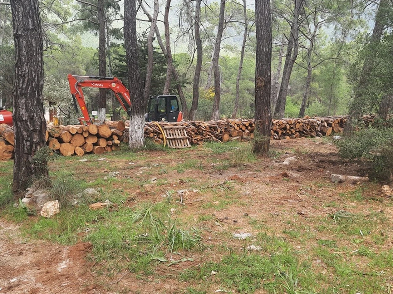 Gökova betonlaşmaya değil korunmaya muhtaç