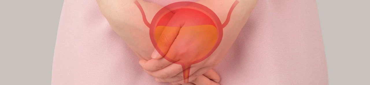 Uzun Süre İdrarı Tutmanın Sağlığa Zararları Nelerdir? Doktorlar Uyarıyor: Mesanenizi Düzenli Boşaltın!