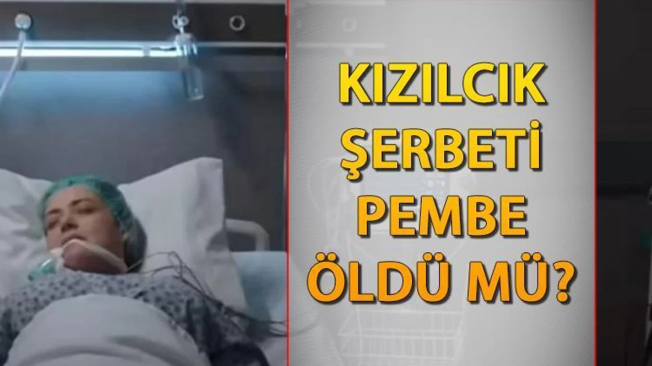Kızılcık Şerbeti: Pembe'ye Zehirli Sürpriz! İzleyiciler Şokta!