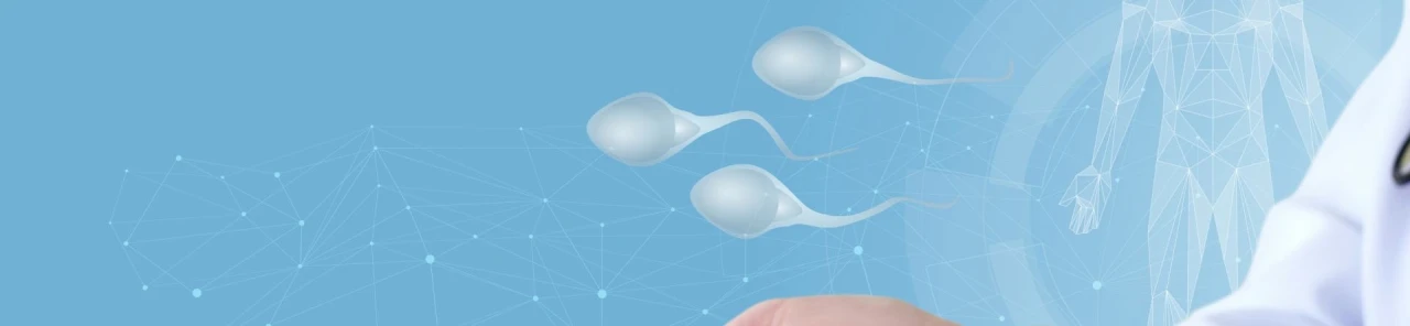 Meni Nedir ve Neden Önemlidir? Sperm ile Birlikte Doğurganlık Üzerinde Etkilidir