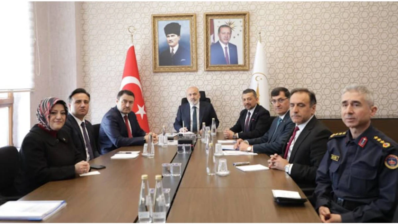Sahipsiz hayvanlara yönelik hizmetler geliştiriliyor