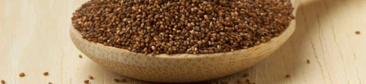 "Etiyopya'nın Mucizevi Tahılı Teff Tohumu: Besleyici ve Glutensiz Bir Alternatif"