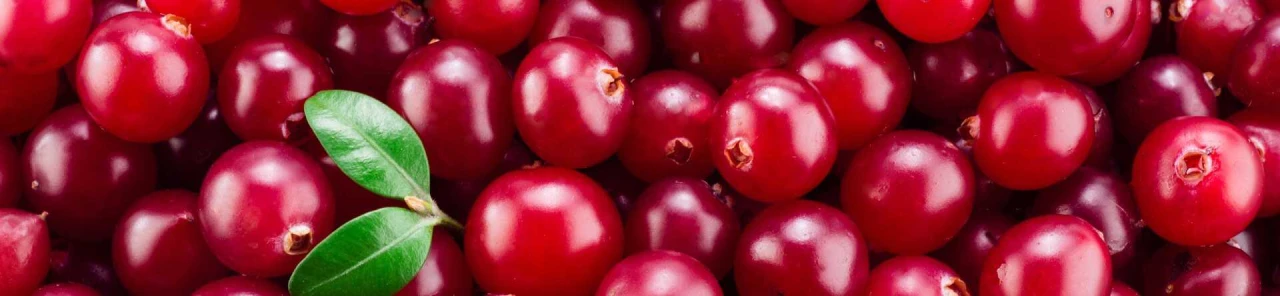 Turna Yemişi (Cranberry) Nedir? Turna Yemişi Faydaları Nelerdir?