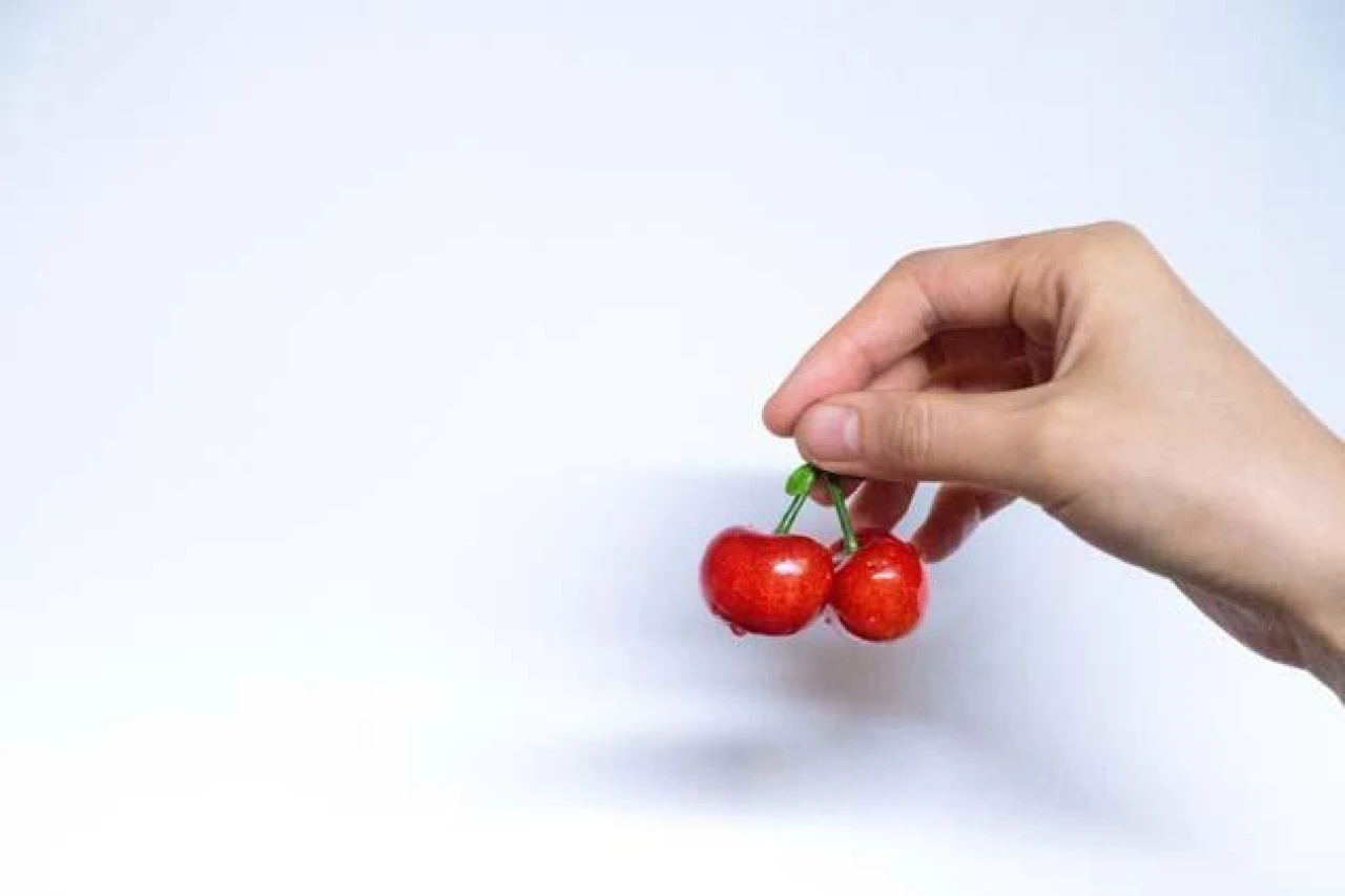 Vişne Sapının Sağlığa Olan Etkileri Araştırılıyor!