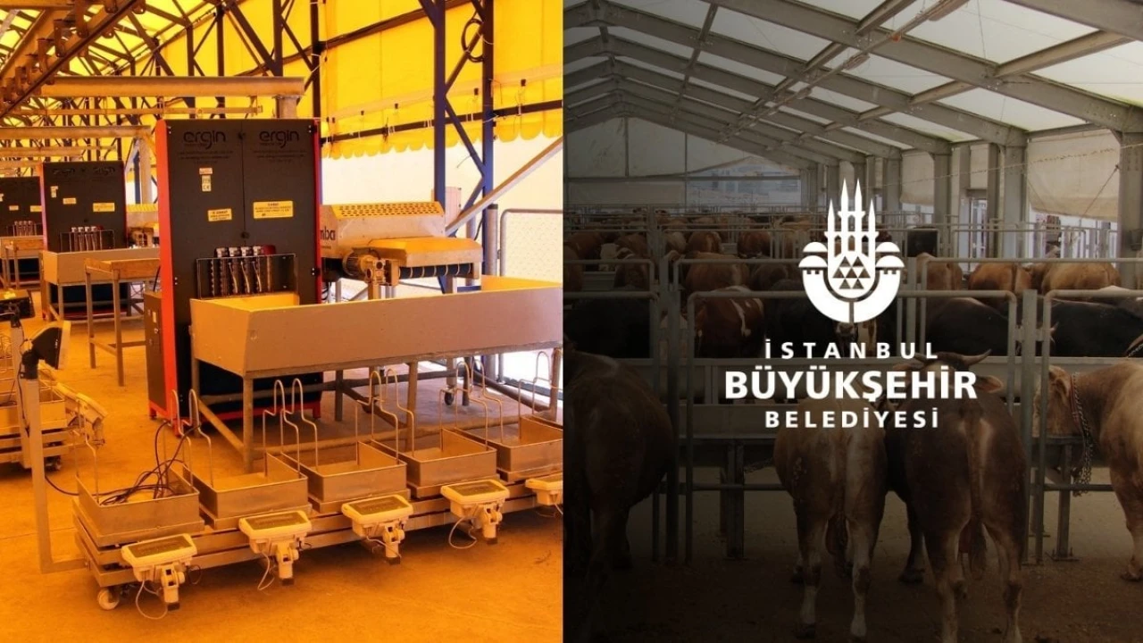 İstanbulluların İstekleri Gerçek Oldu: İBB'den Kurban Kesecekler İçin 4 Yeni Süper Lüks Tesis! Yerler Hızla Doluyor, Şimdiden Rezervasyon Yaptırın!