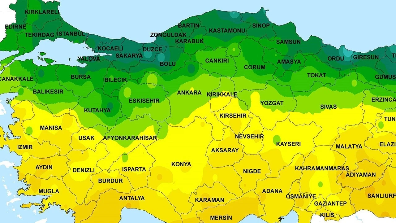Hafta sonu heyecanla geri dönüyor: Yenilikler ve Etkinliklerle Dolu!