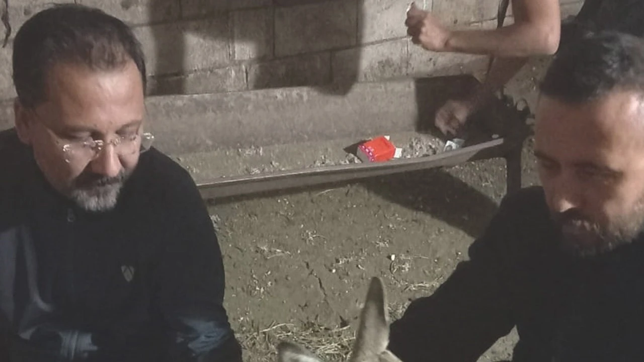 Karaca, hayatta kalmak için saniyelerle yırttı!
