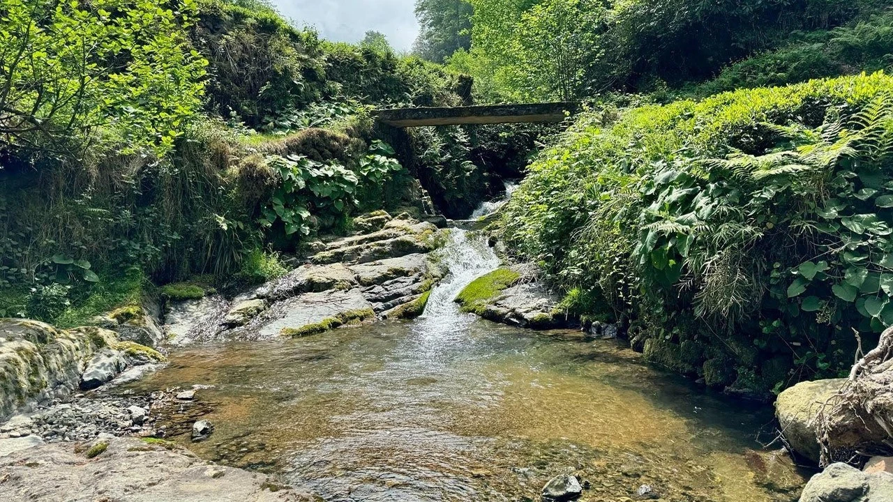 Rize'de kırmızı akan dere paniğe neden oldu