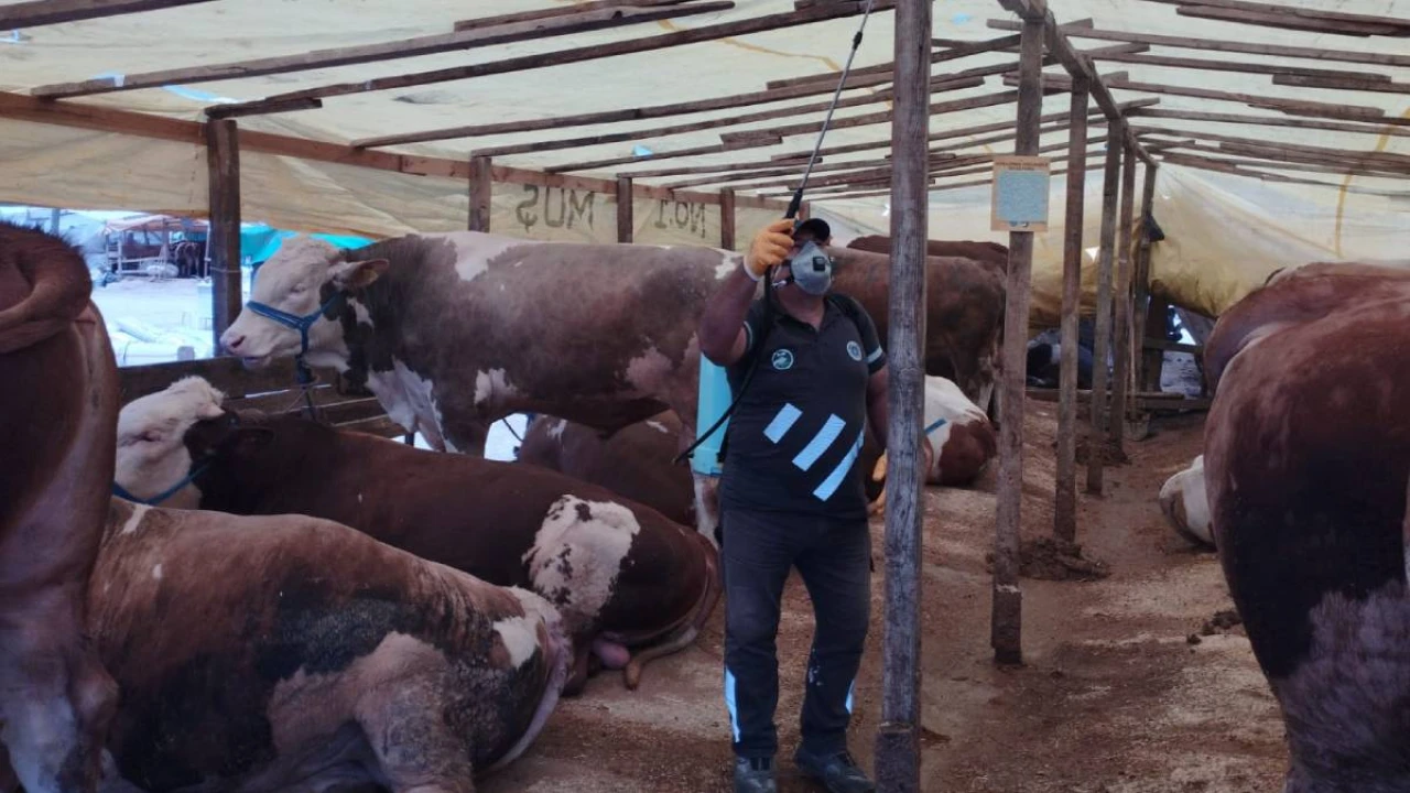 Sivrisineklerle mücadele çalışmaları hız kesmeden devam ediyor.