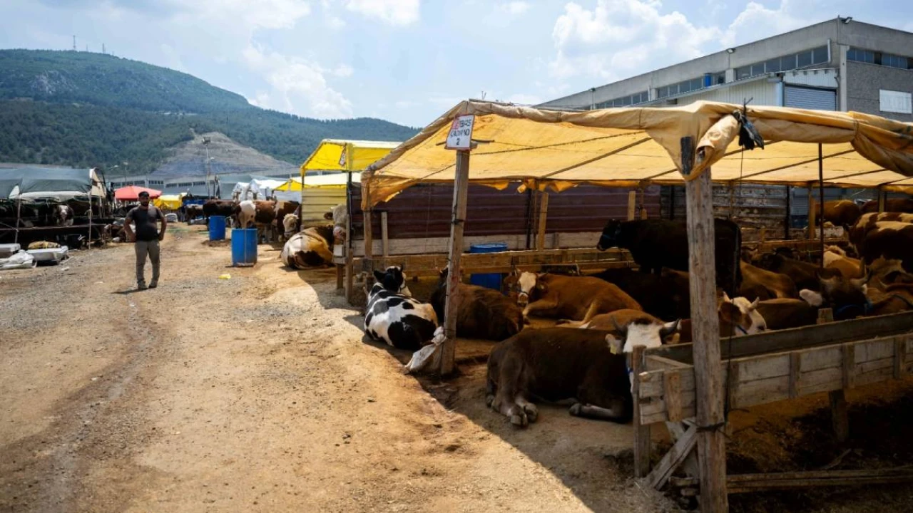 Bornova Belediyesi, Işıkkent'te Modern Kurban Pazarı'nı Açtı: Hijyen ve Güvenlik Ön Planda!