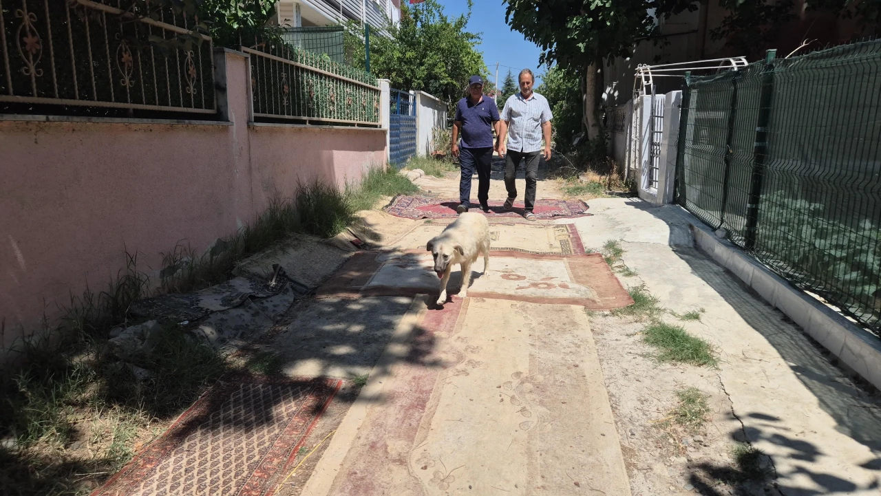 Marmaraereğlisi'nde Vatandaşlar Çamur ve Toza Halıyla Dur Dedi
