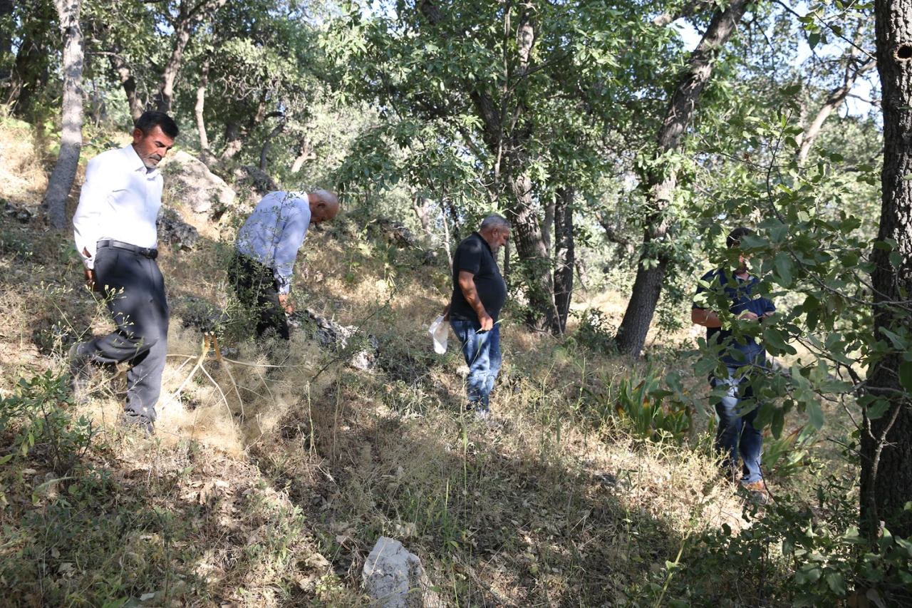 Siirt Adaçayı Koruma Nöbetinde Köylüler Çaba Gösteriyor
