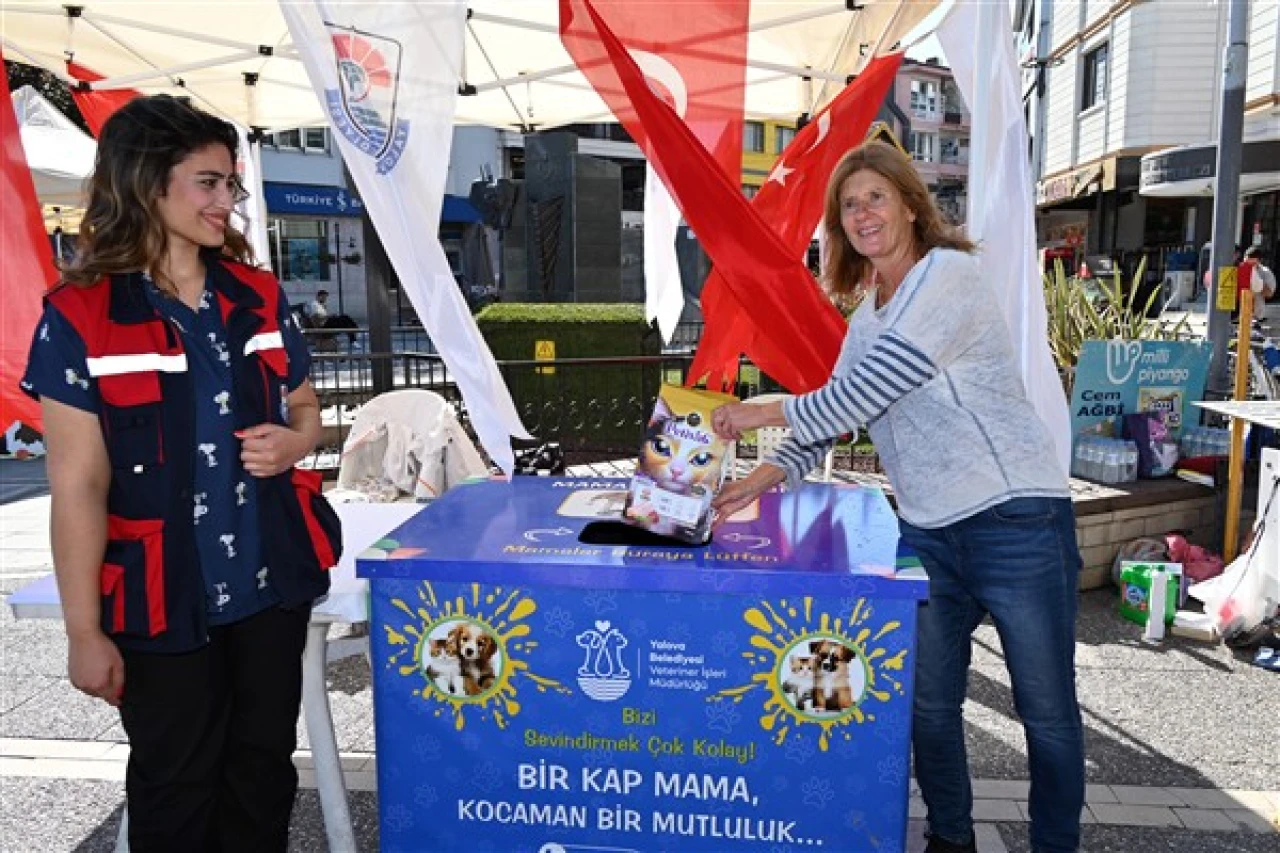 Yalova Belediyesi, sokak hayvanları için 'Askıda Mama' kampanyası başlattı, Uğur Mumcu Kültür Merkezi'nde bağışlar toplanmaya başlandı.