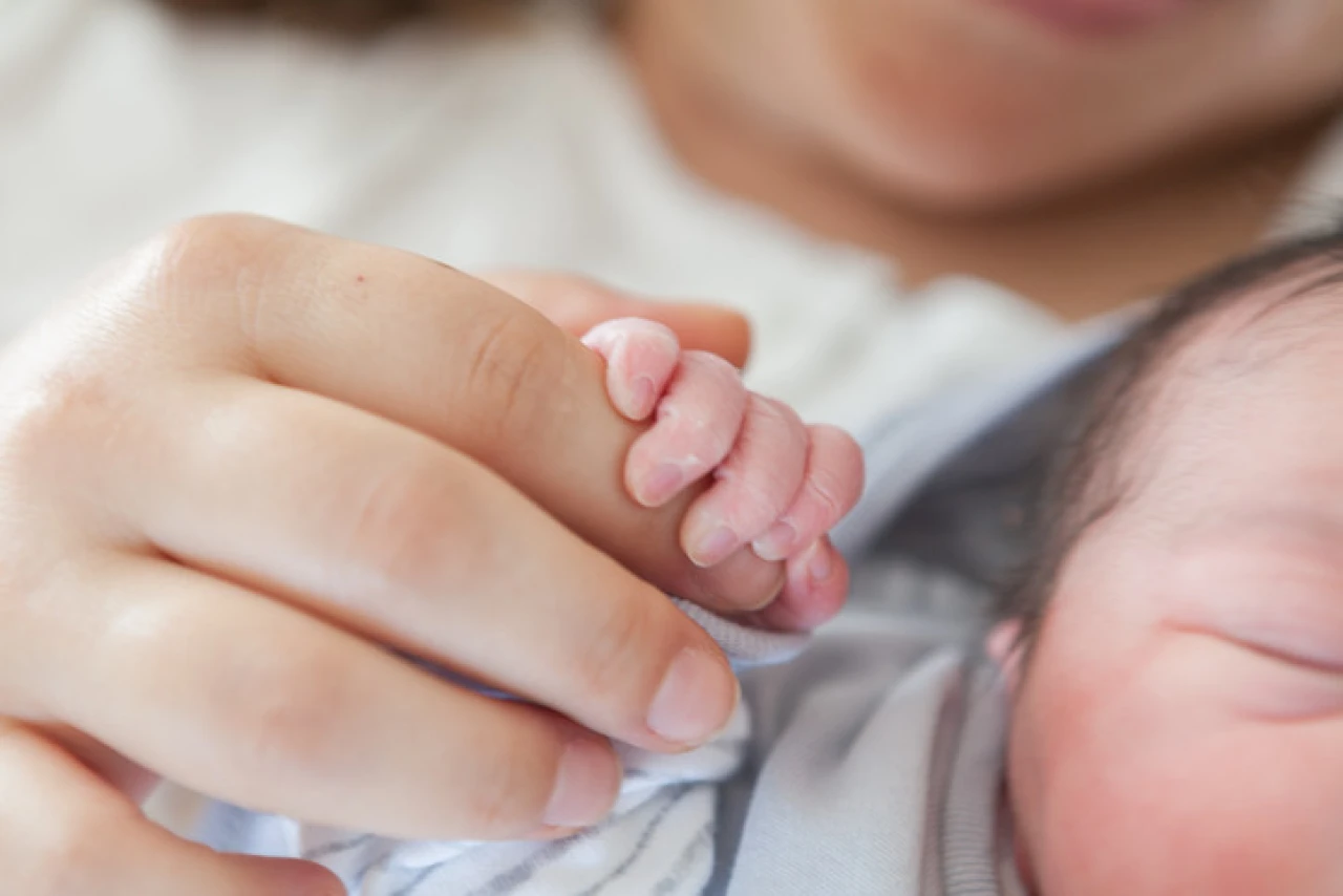 "Anne Karnındaki Beyin Gelişimi: Sağlıklı Bebek İçin Alınması Gereken Önlemler"