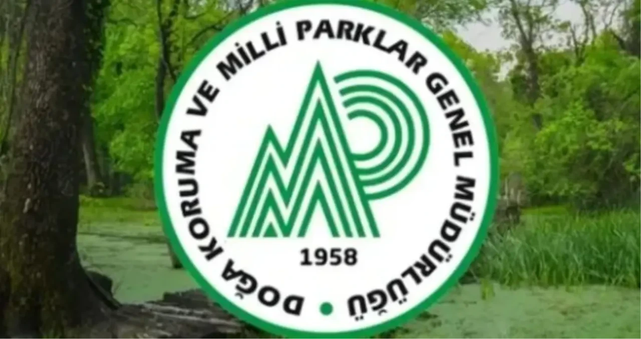 Doğa Koruma ve Milli Parklar Genel Müdürlüğü personel alımı başvuru tarihleri: DKMP personel alımı şartlar...