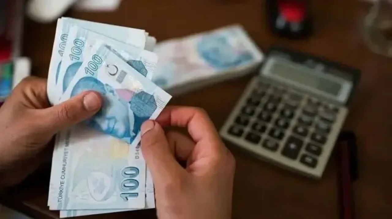E-Devlet Üzerinden Yapılan Doğum Yardımı Başvuruları İnceleniyor: Ödemeler Ne Zaman Yapılacak?