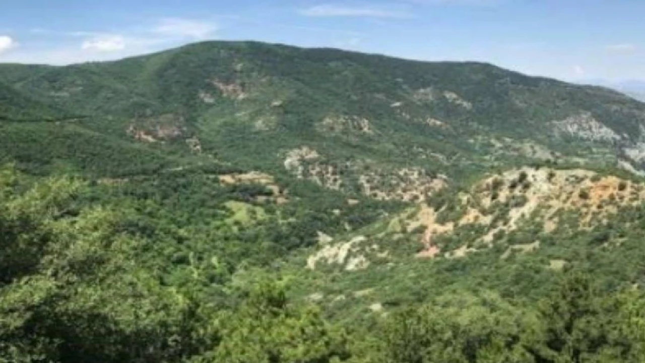 Eskişehir'de Eti Bakır A.Ş.'nin Altın Madeni Projesi İçin ÇED Olumlu Kararı Alındı, 57 Bin Ağaç Kesilecek!