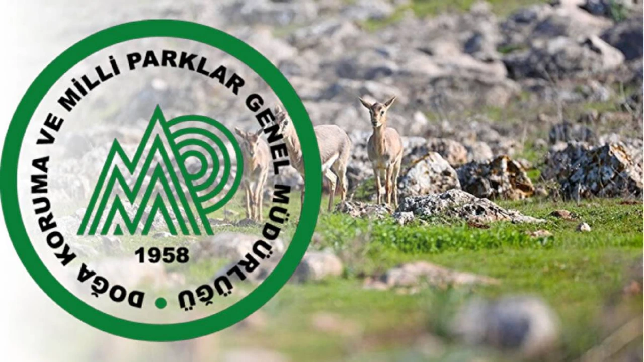 Resmi Gazete'de büyük sürpriz! Doğa Koruma ve Milli Parklar Genel Müdürlüğü onlarca personel alıyor