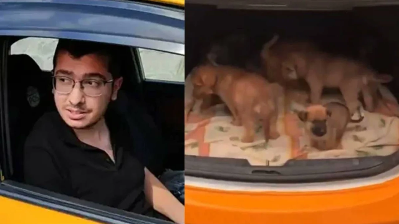 Ankara Barosu Hayvan Hakları Merkezi: Muhammet Mustafa Duman'a 17,5 Yıl Hapis Cezası!