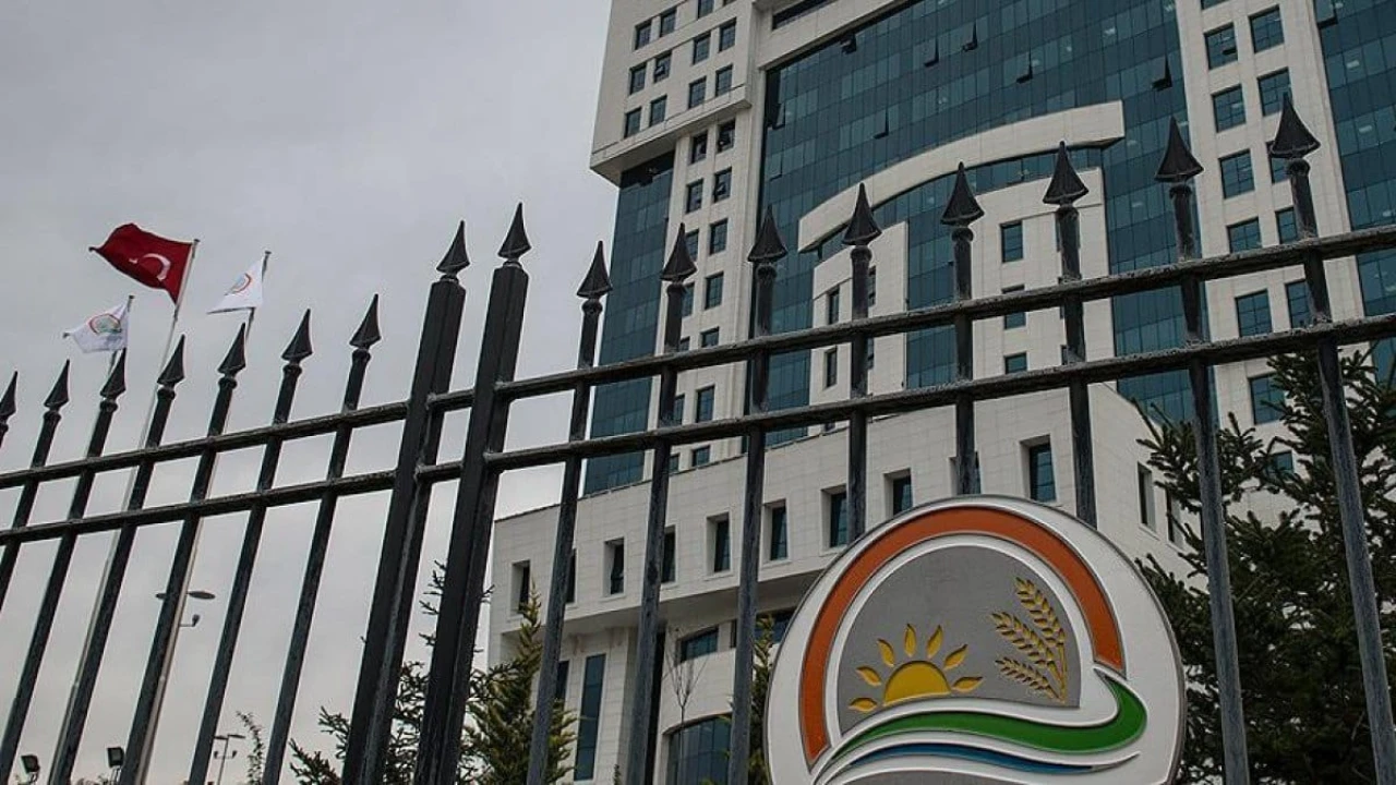 Tarım ve Orman Bakanlığı 200 Kişilik Sözleşmeli Personel Alımı Başlıyor - Mülakatsız, e-Devlet Üzerinden Başvurular Açık!