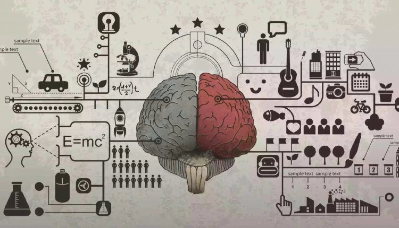 Hafızayı Güçlendirme ve Öğrenme Sanatı: Beyninizi Aktif Tutacak 7 Öneri