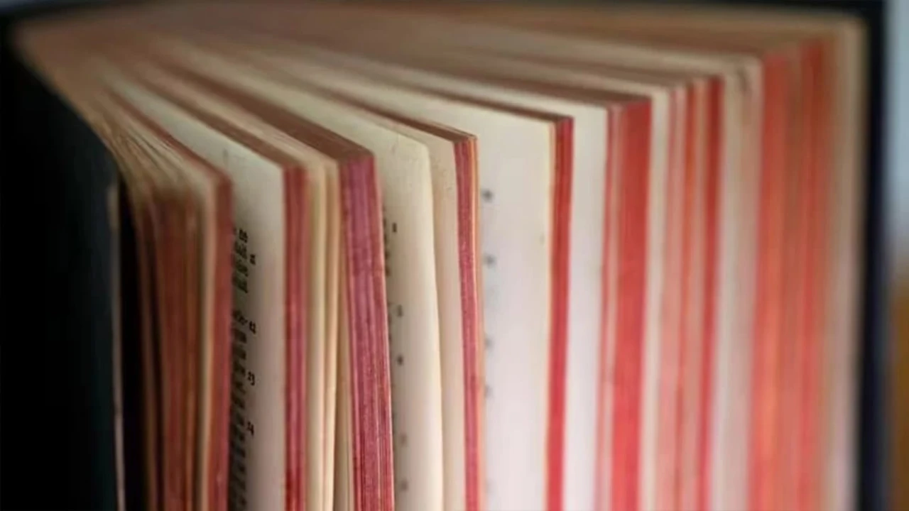 Cambridge Sözlüğü, 2025 Yılının Kelimesini Belirledi: Yeni Trendleri Yakından Takip Edin!