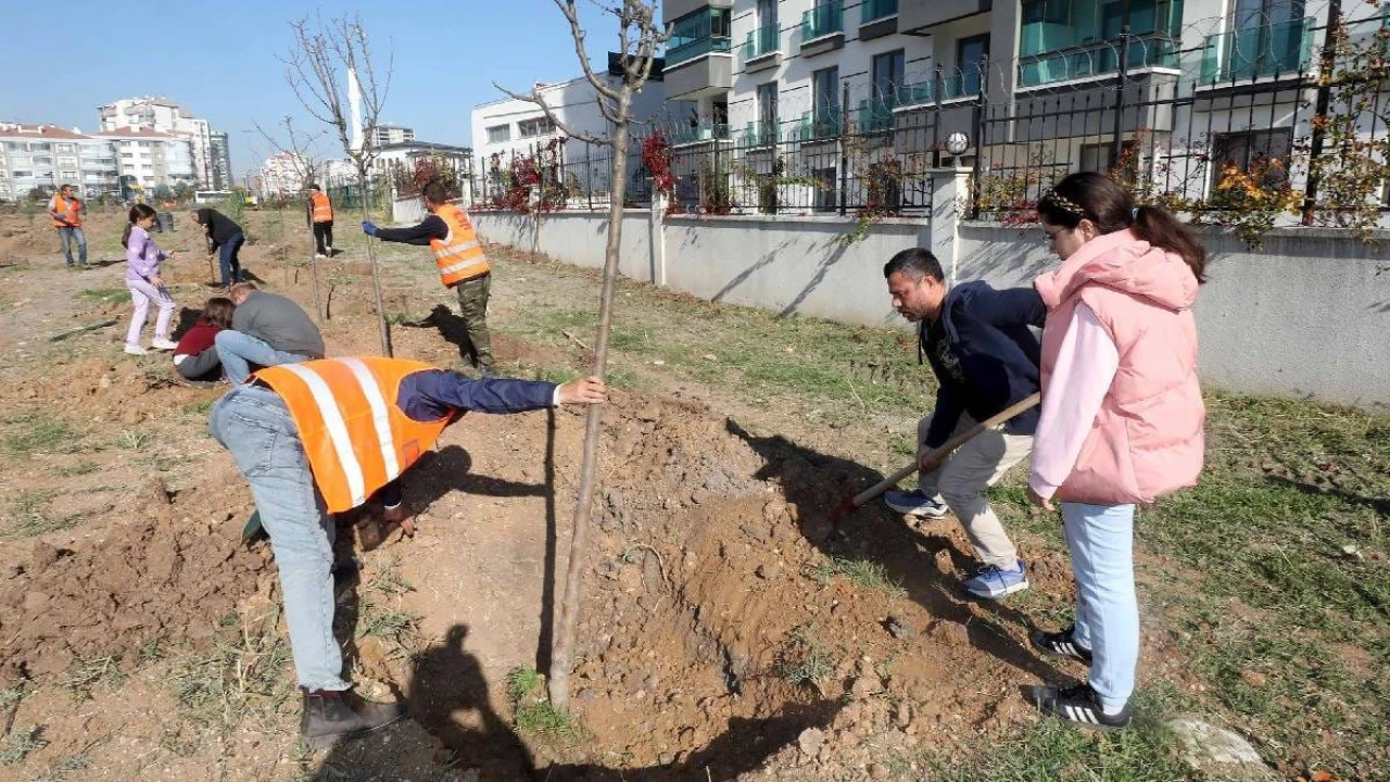 Cumhuriyet Mahallesi'nde Yeşil Alan Genişliyor: Yeni Ağaçlar Dikildi!