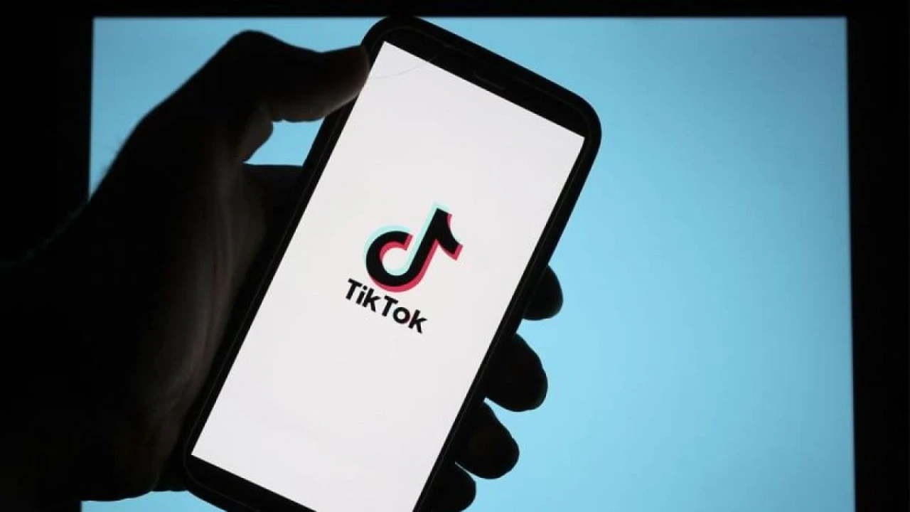 Fransız yazarlar, TikTok platformuna karşı telif davası açtı!