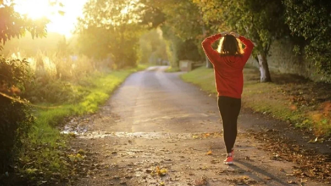 Telefonunuz olmadan yürüyüş yapmanın zihin ve ruh sağlığına faydaları nelerdir?