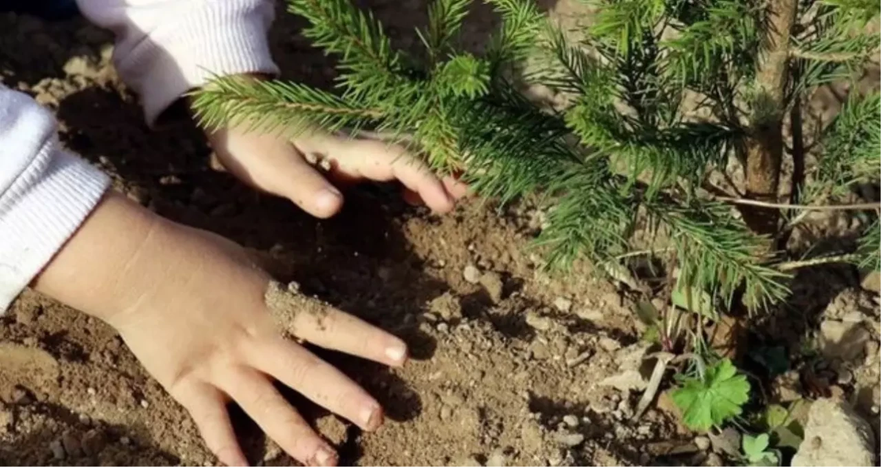TEMA Vakfı'na Bağış Yapmak Artık Daha Kolay! Üyeler Kimler, Detaylar Haberimizde!