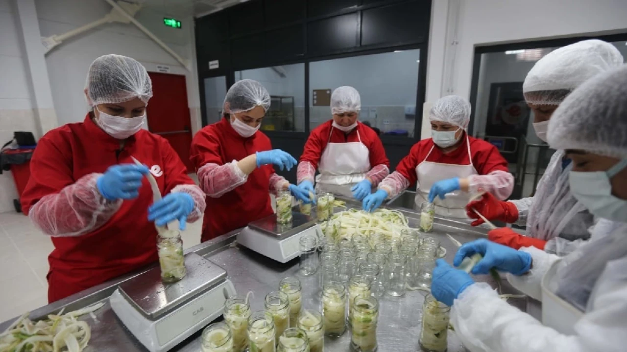 Topraktan Sofraya: Türkiye’de İlham Veren Bir Tarım Projesi doğdu