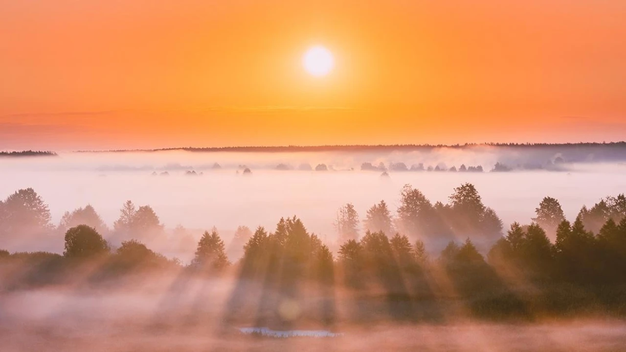 Günlerin Uzamasıyla Birlikte İlkbaharın Habercisi Geldi!