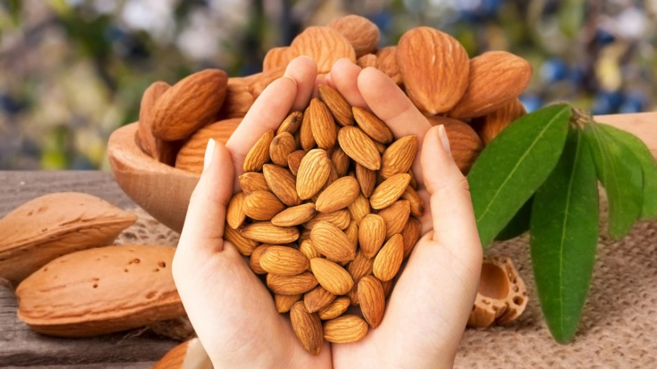 Uzmanlar Badem Tüketimini Öneriyor: Kalp, Cilt ve Beyin Sağlığını Olumlu Yönde Etkiliyor!