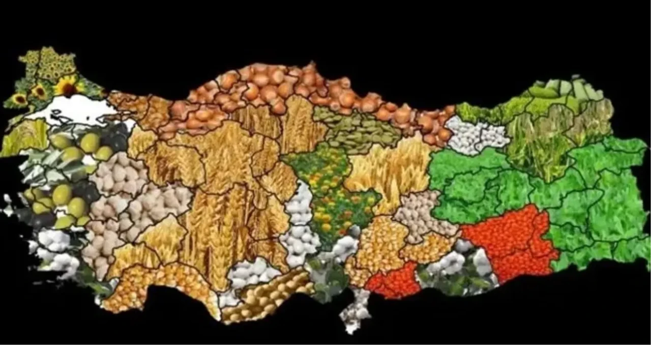 Yerli Malı Haftası ne zaman? 2025 Yerli Malı Haftası nedir, neler yapılır?