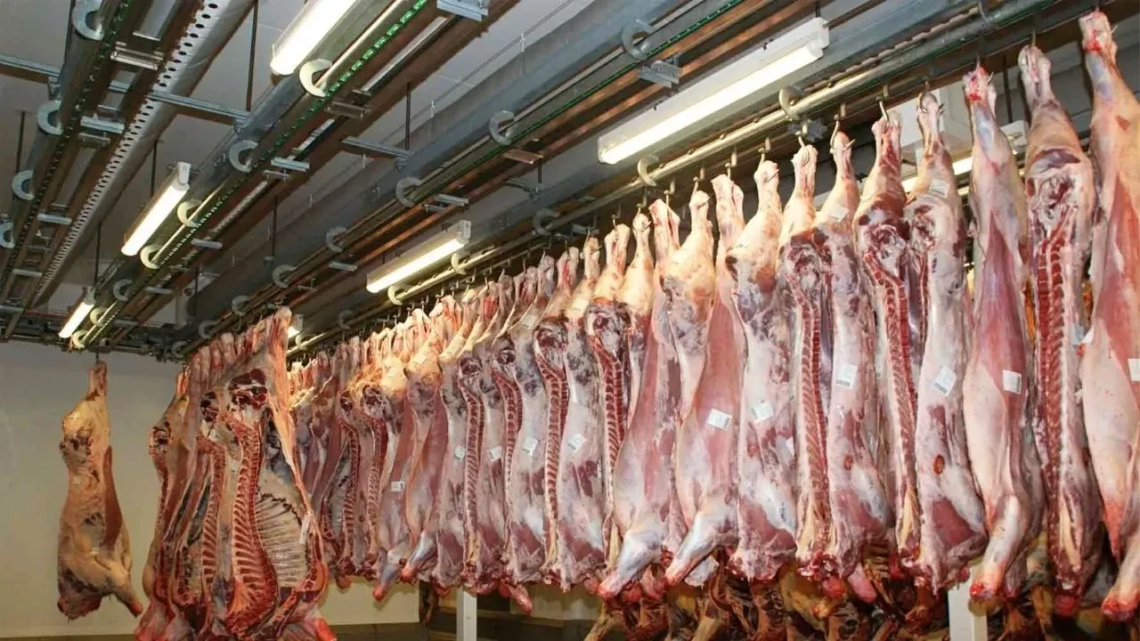 Et sektöründe güncel gelişmeler: Canlı kuzu kesim fiyatlarında düşüş yaşandı!