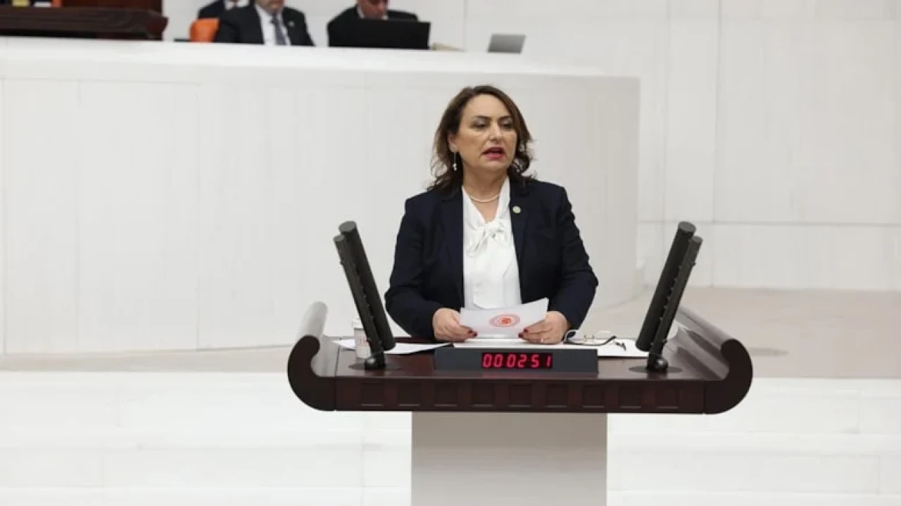 CHP'li Şevkin: Türkiye’yi tek adamın hırslarına feda etmeyin