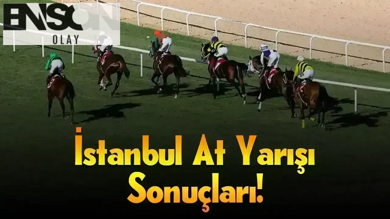 İstanbul 8 Mart 2025 Cumartesi At Yarışı Sonuçları!