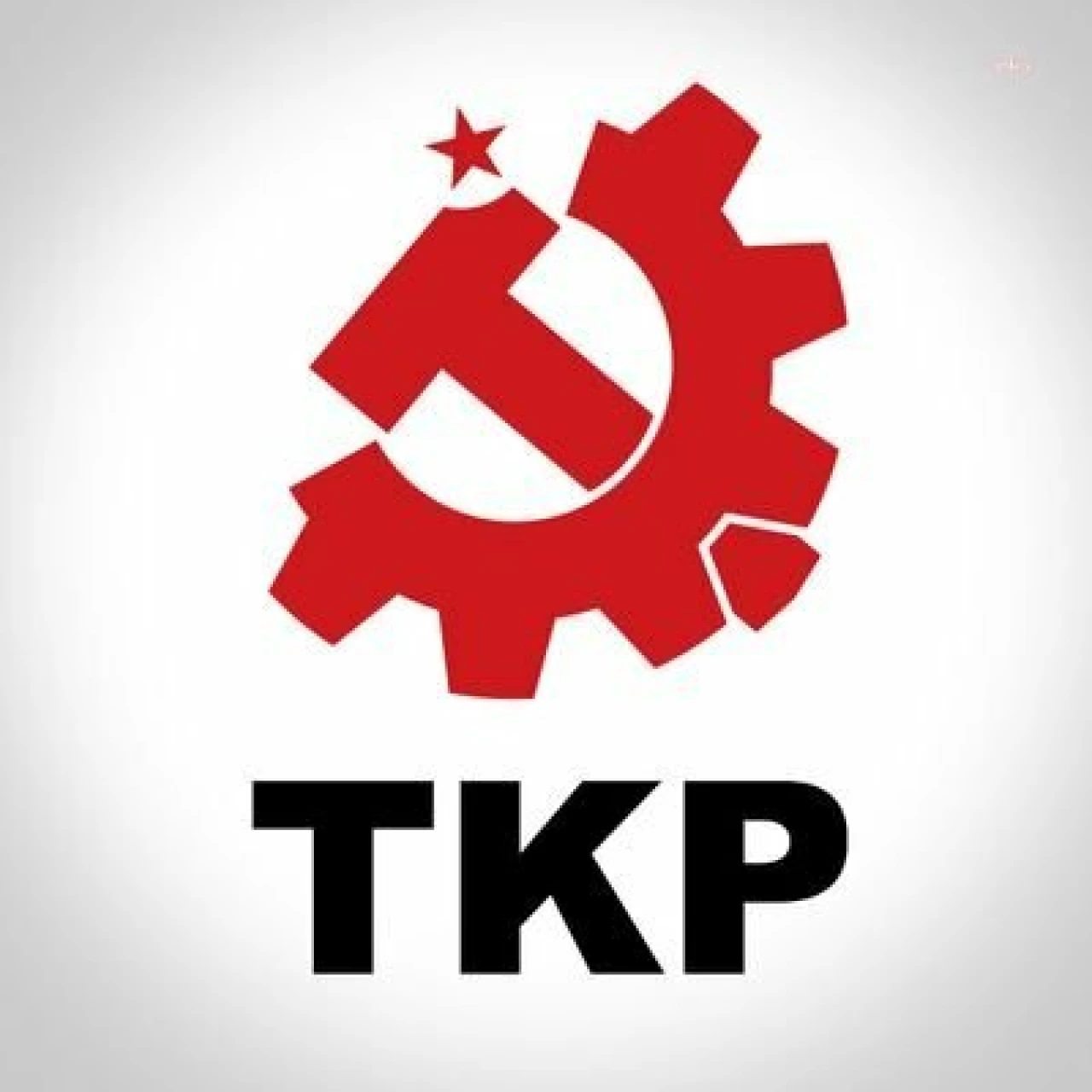 TKP'den 3 ilde eylem: "Tüm yurttaşlarımızı iktidarın keyfi uygulamalarını protestoya çağırıyoruz"