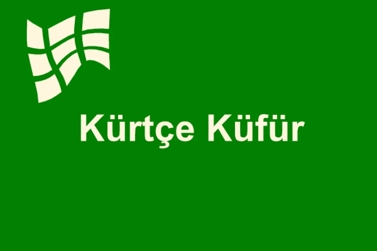 Kürtçe Küfürler ve Anlamları, Kürtçe Küfür Listesi - Websesi