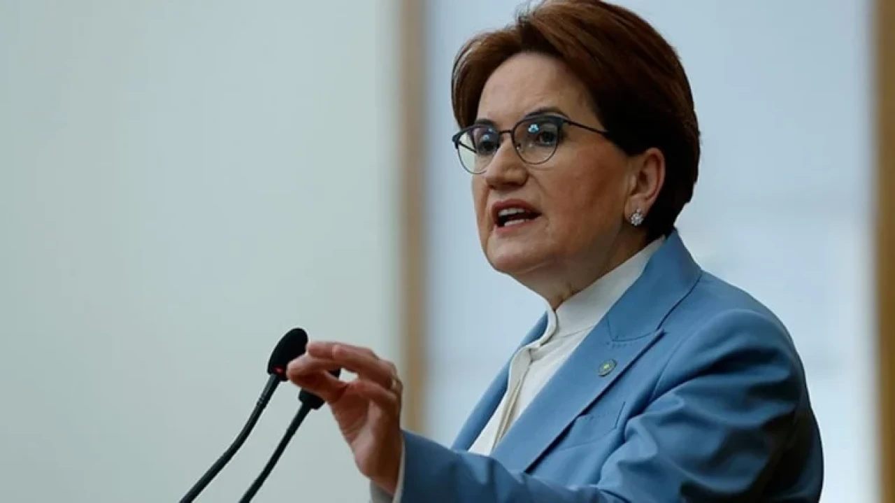 Akşener'den Türkeş mesajı