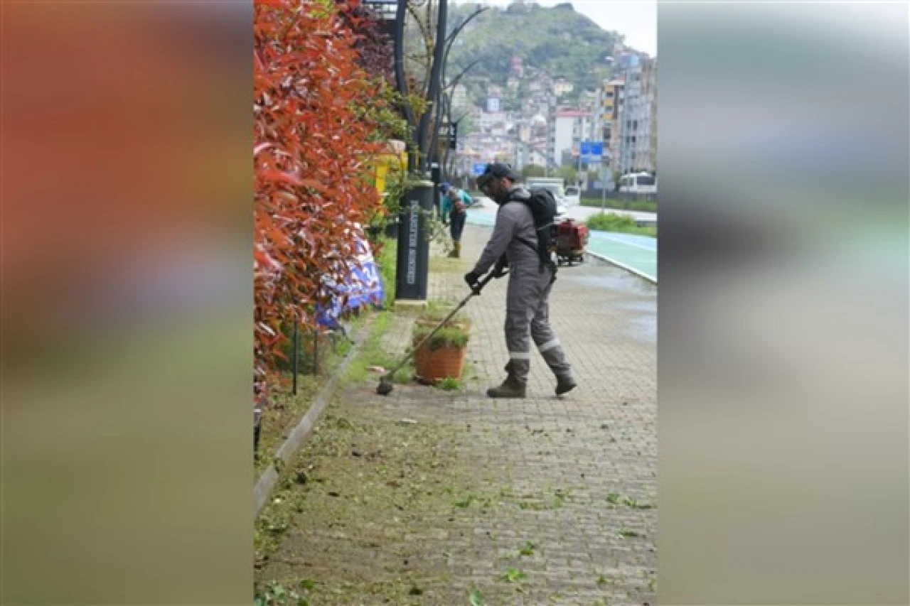 Giresun'da yeşil alanlarda bakım ve temizlik çalışması